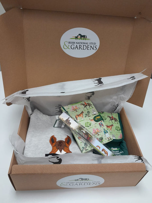Boy's Gift Hamper