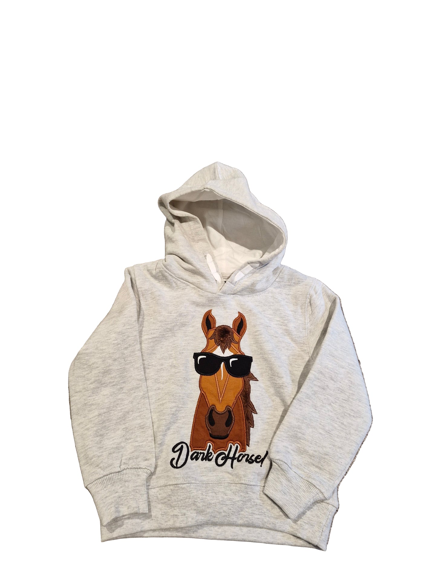 Ash Grey INS Kids Dark Horse Hoody
