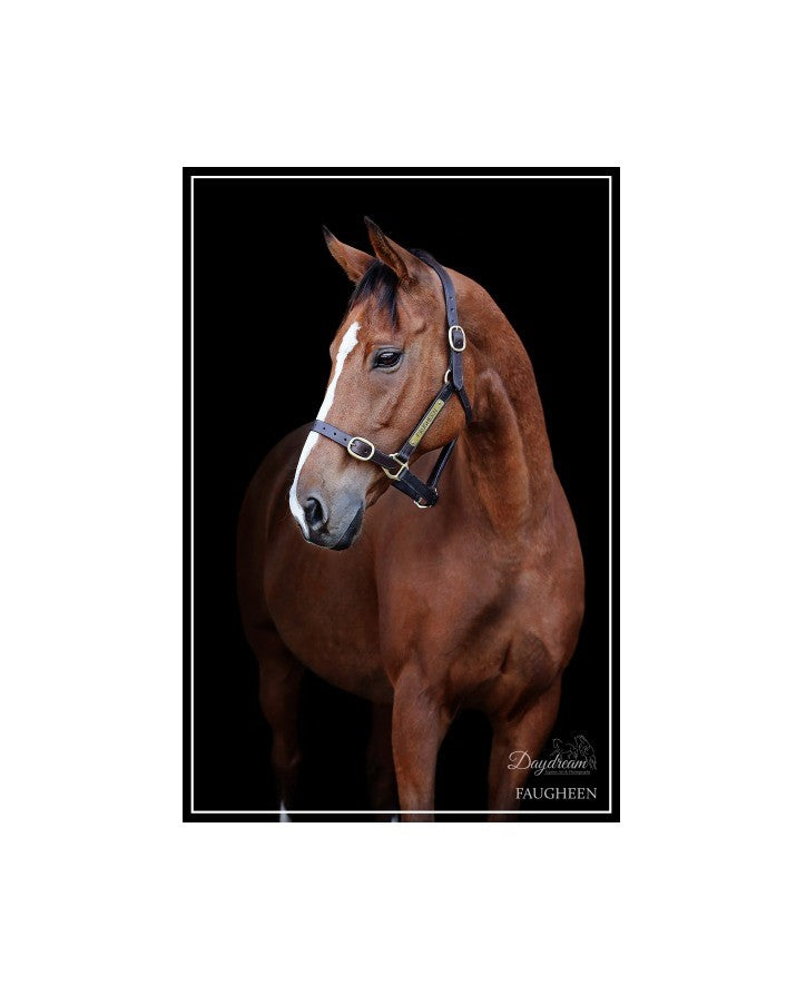 Faugheen