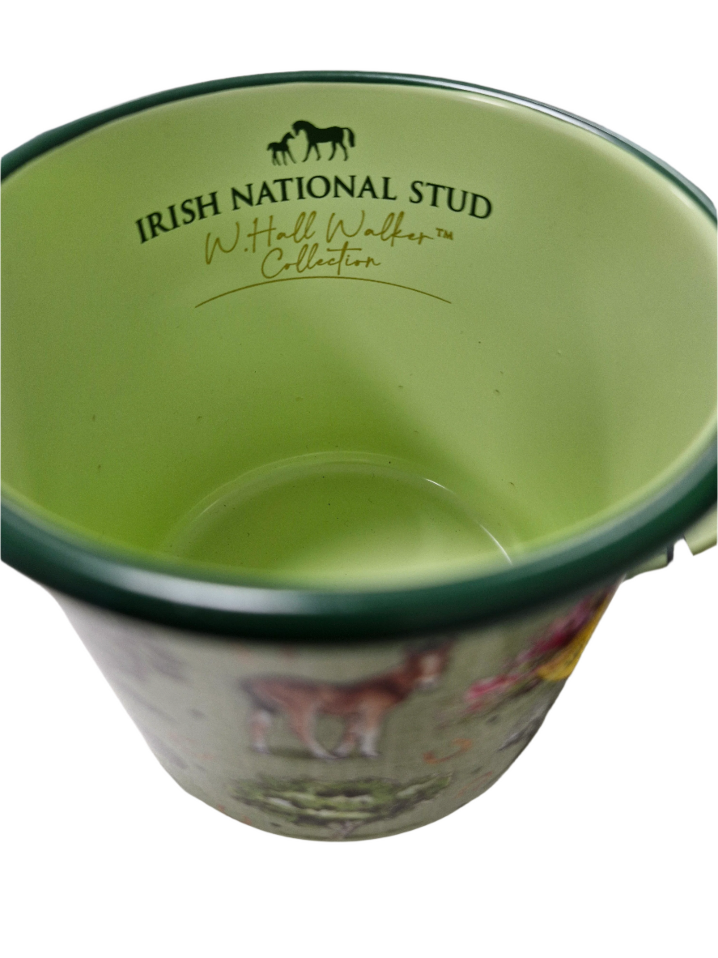 INS ENAMEL MUG