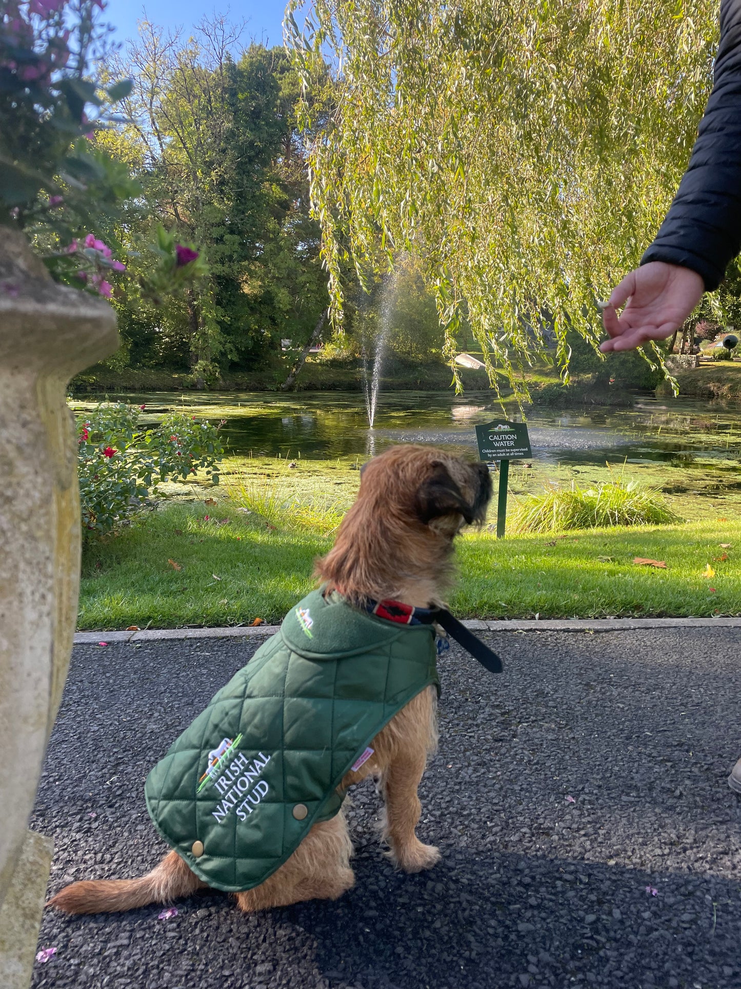 INS Dog Jacket