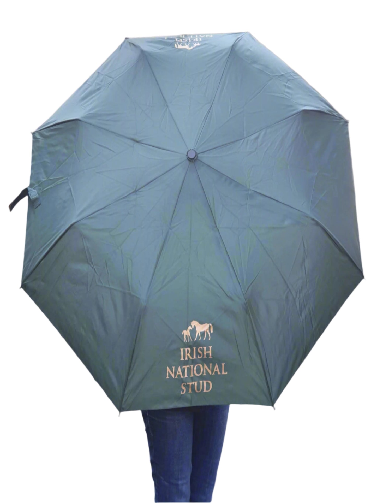 BESPOKE INS FOLDING UMBRELLA