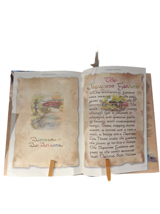 The Book of Kildare