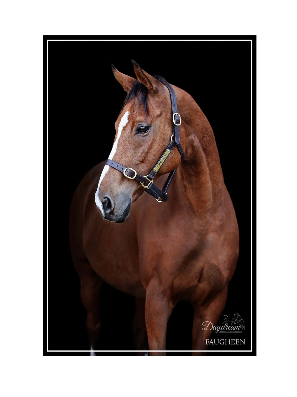 Faugheen