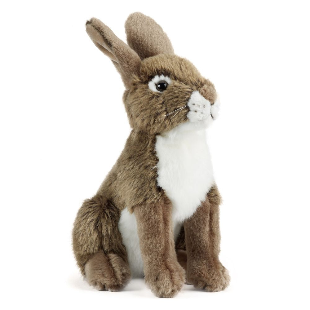 Living Nature Hare