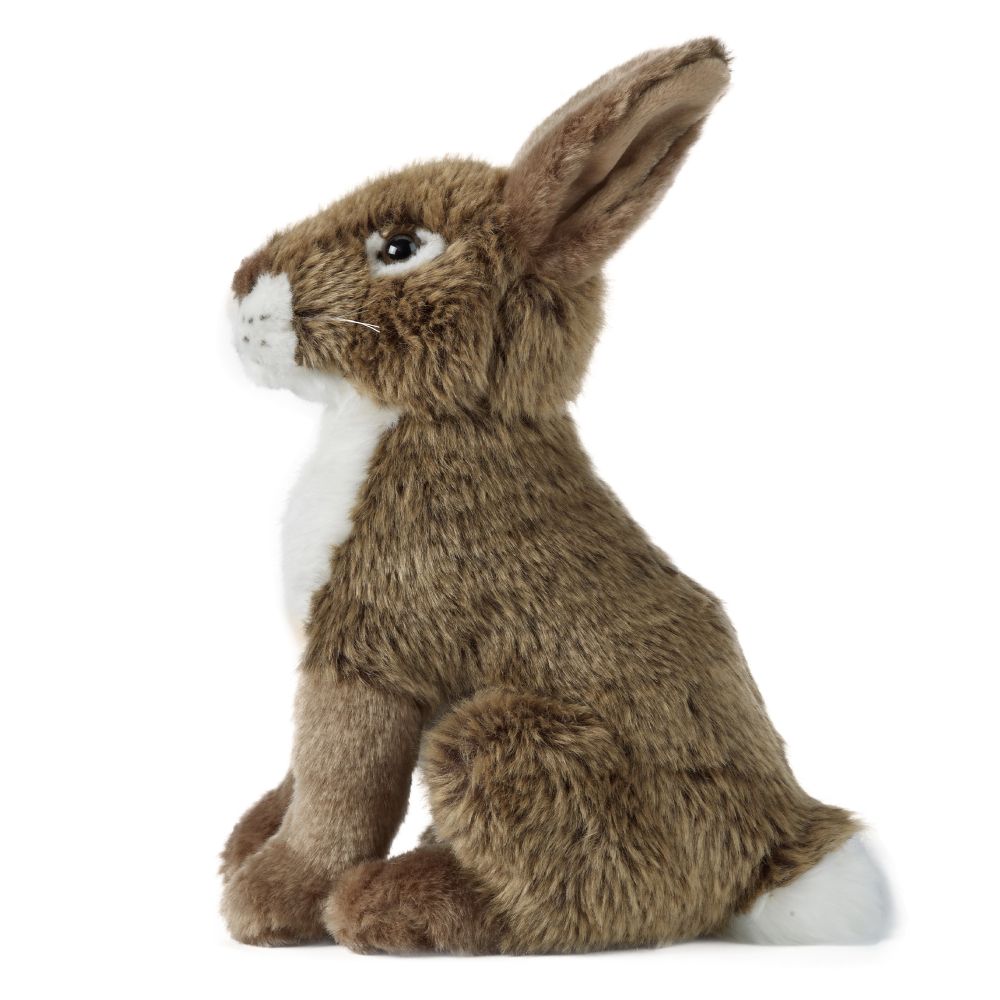 Living Nature Hare