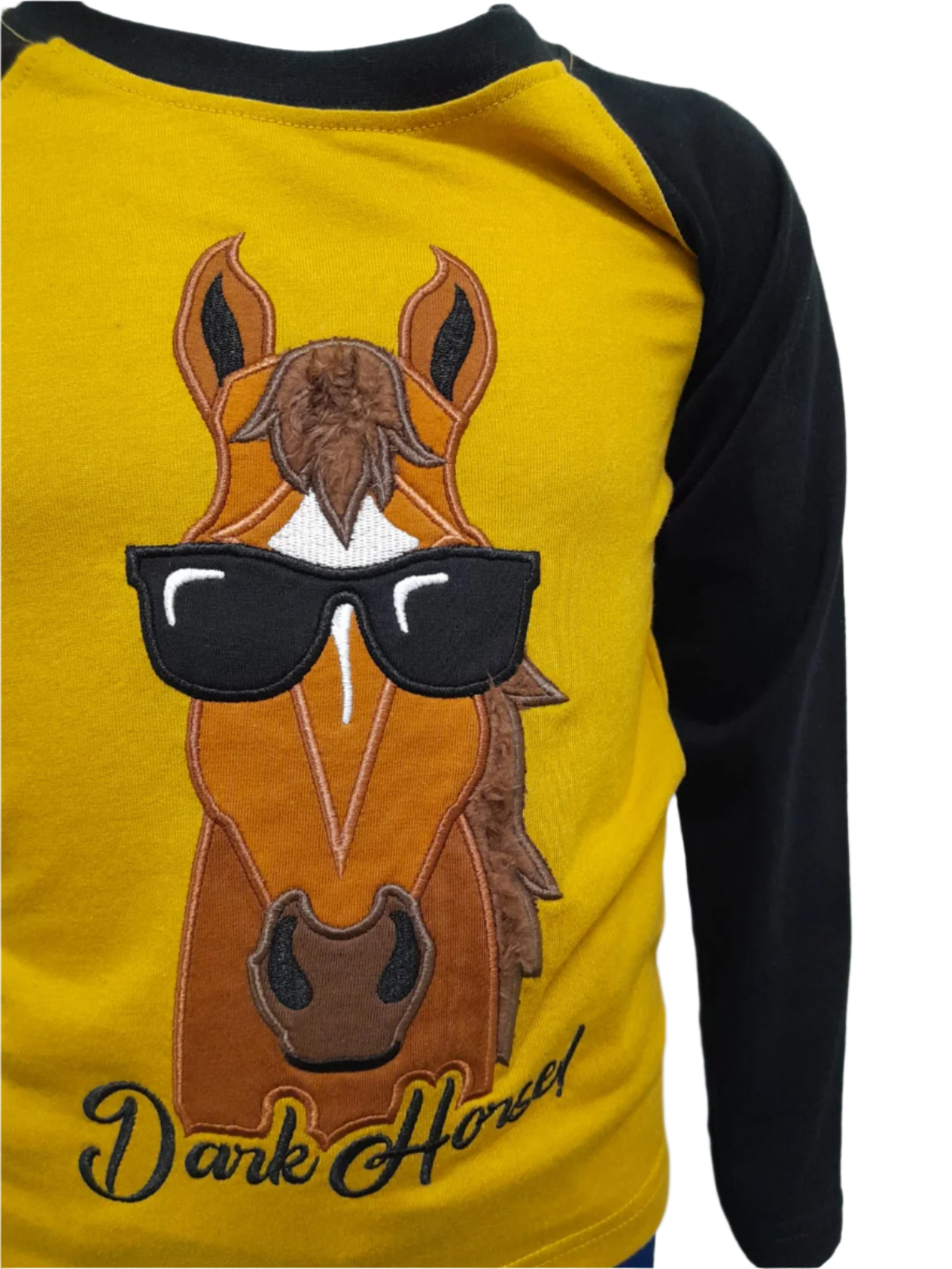 OCHRE MAR INS DARK HORSE RAG L/S KID TOP