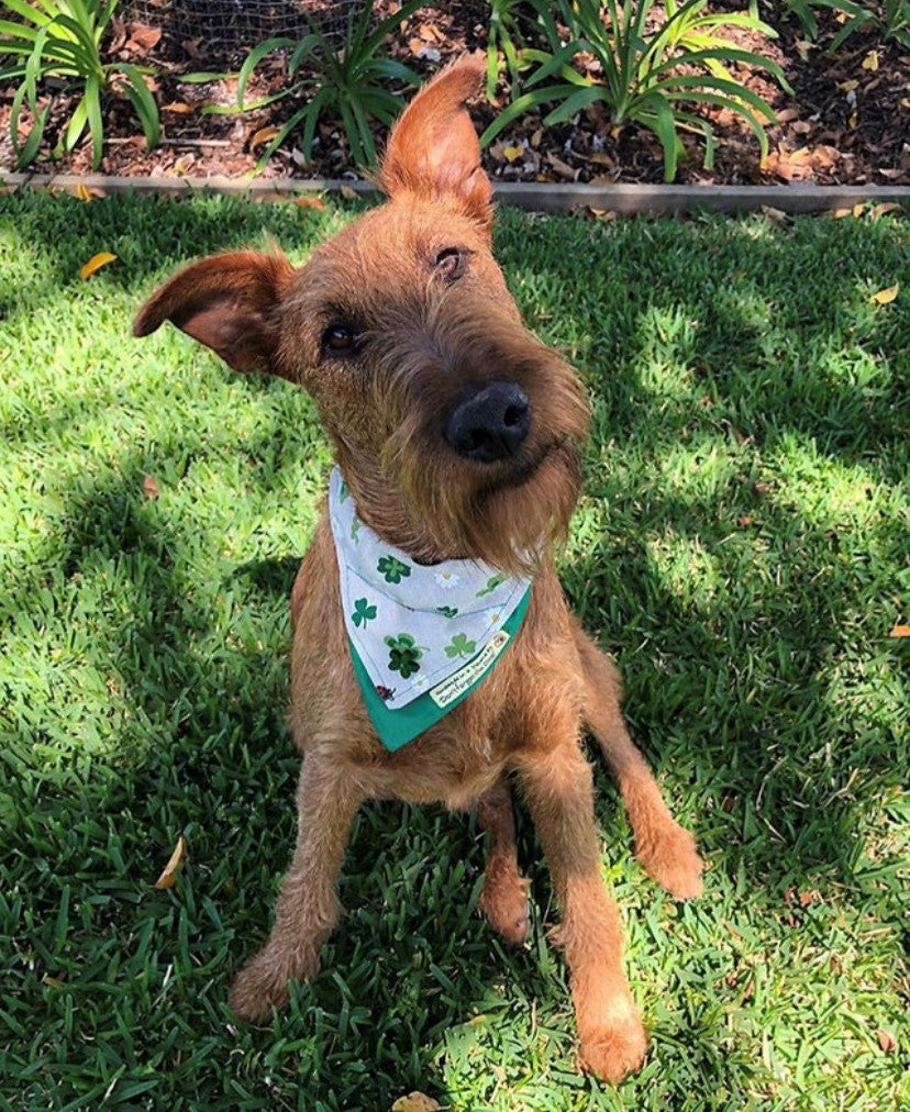 Neckerchief/  Bandana